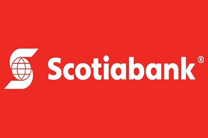 Scotiabank Named Bank Of The Year In Canada Caribbean News Global