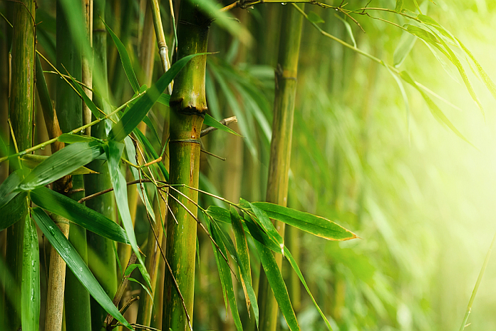 Kohl's - Walmart agree to pay $5.5M in combined penalties for alleged deceptive violations of the Textile Act and Rules and FTC Act around the use of Bamboo - Vimarsana News